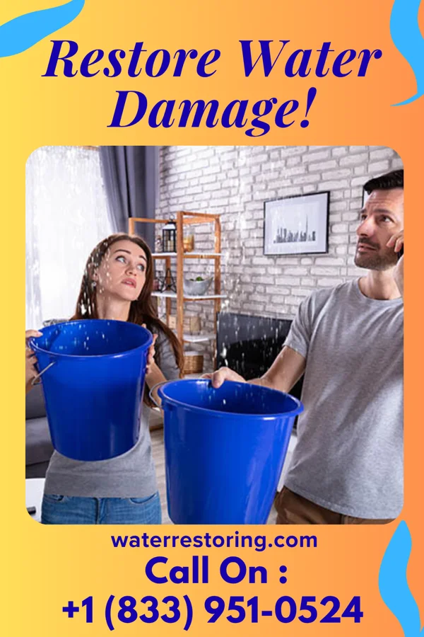 water restoration Global Disaster Recovery Inc DeKalb