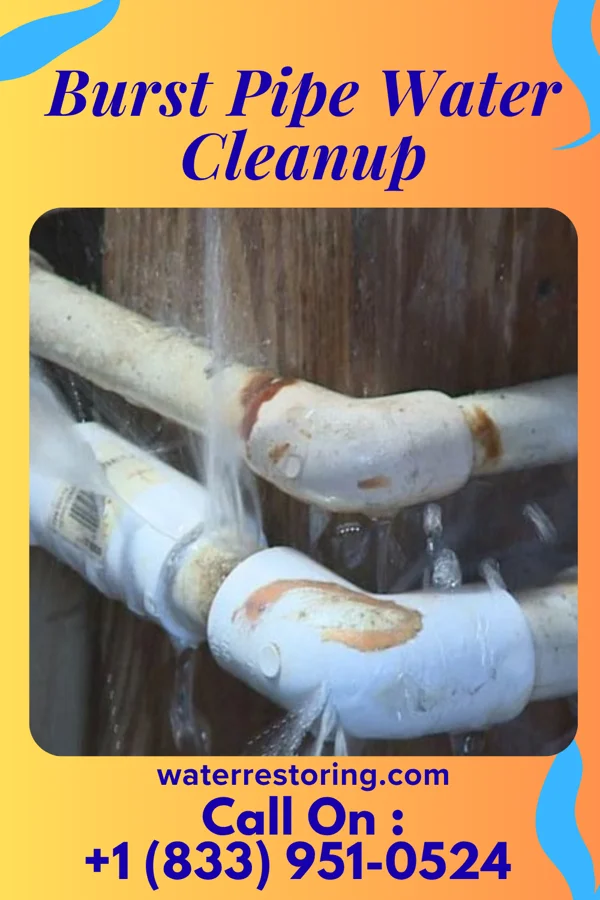 Burst Pipe Water Cleanup in DeKalb, IL