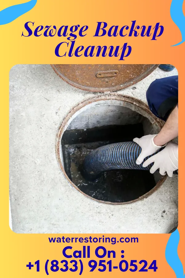 Sewage Backup Cleanup in DeKalb, IL